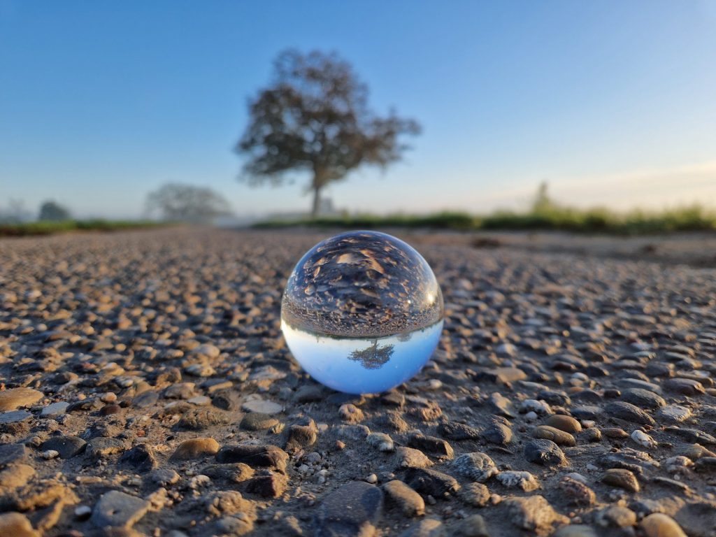 Glaskugel die den Perspektivenwechsel zeigt und ein Baum der unseren ganzen Gedanken darstellt.