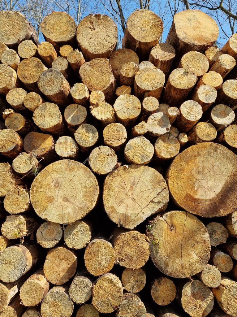 Holzstapel 