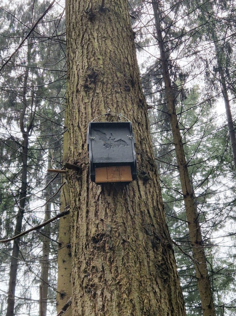 Eine Vogelhaus nur für Fledermäuse. MIt einem grossen Fledermaussymbol darauf. Batmans Behausung 