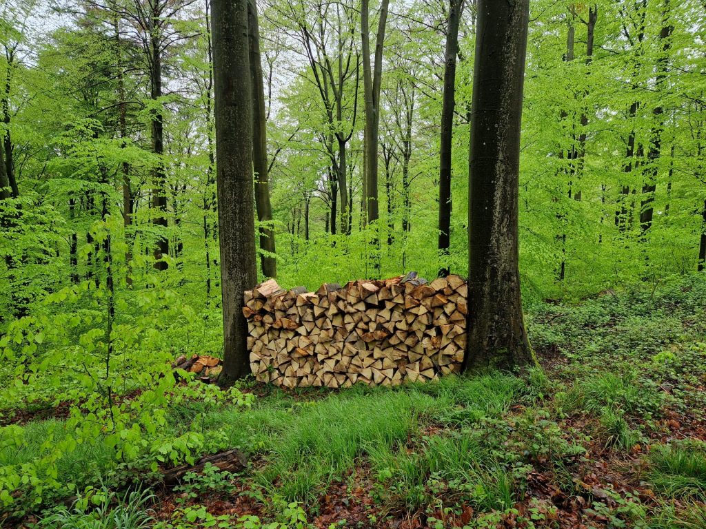 Holzscheide die zwischen zwei Bäumen aufgetürmt sind, 