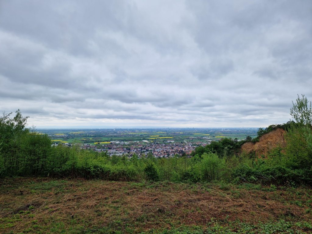 Aussicht auf Dossenheim