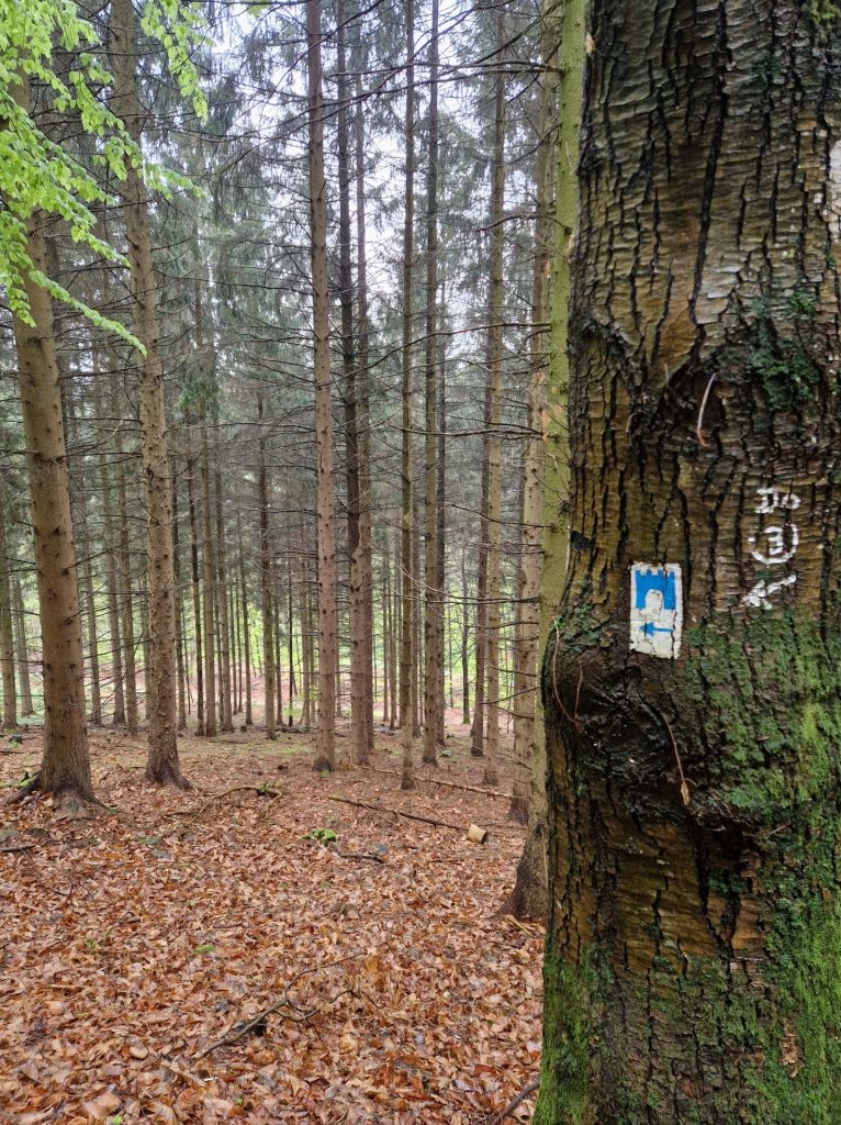 Kleiner Wegweiser am Baum, eine kleine Burg
