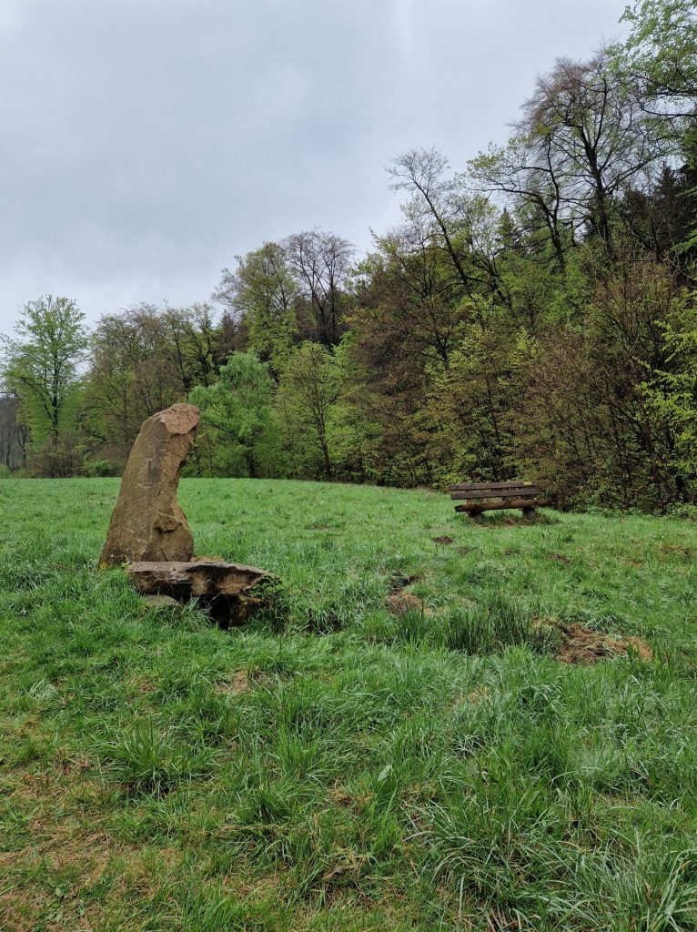 Wiese mit Bank und einem sehr grossen Stein.