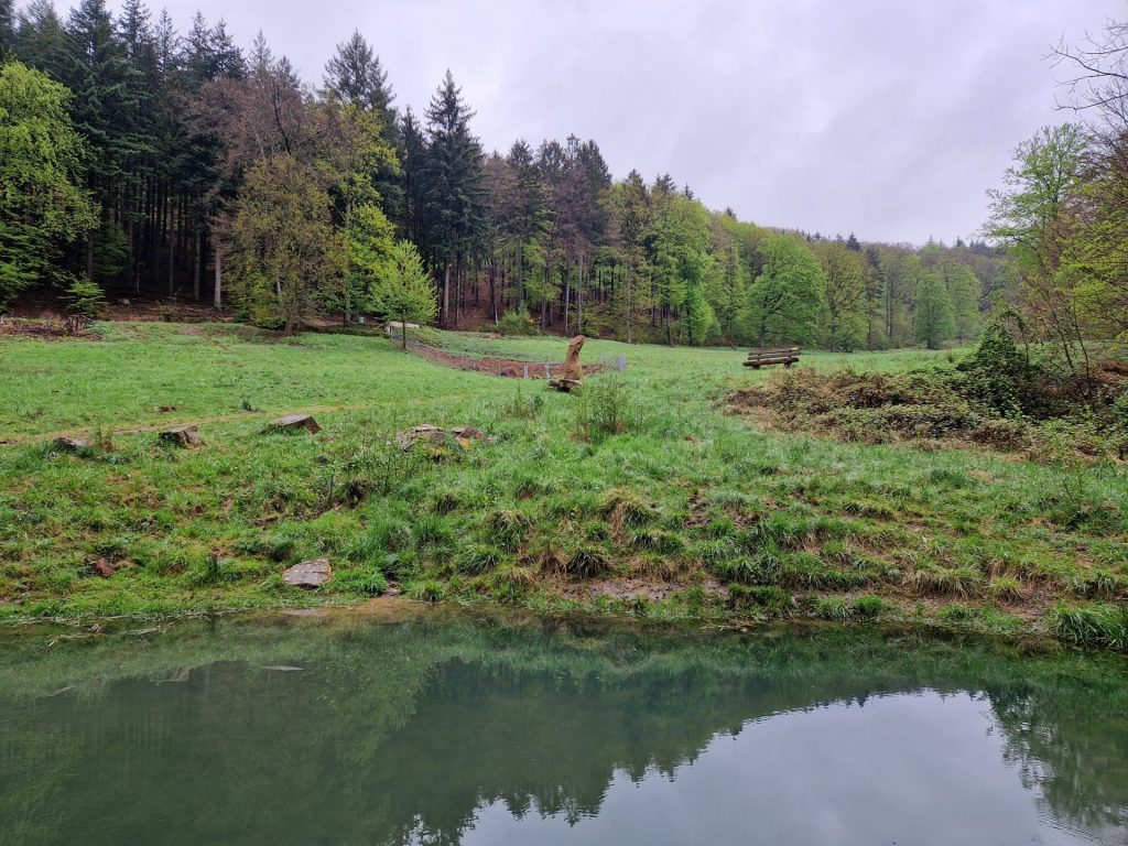 Wiese mit einem kleinen Teich.