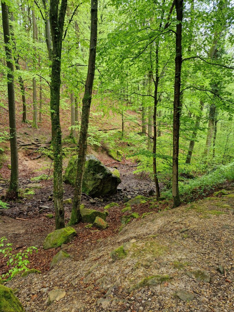 Bärenfelsen, riesiger Stein 