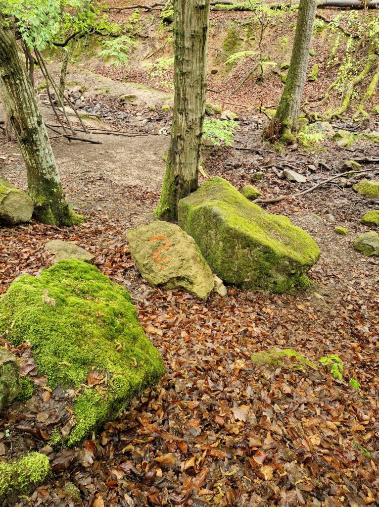 Fragezeichen auf einem Stein
