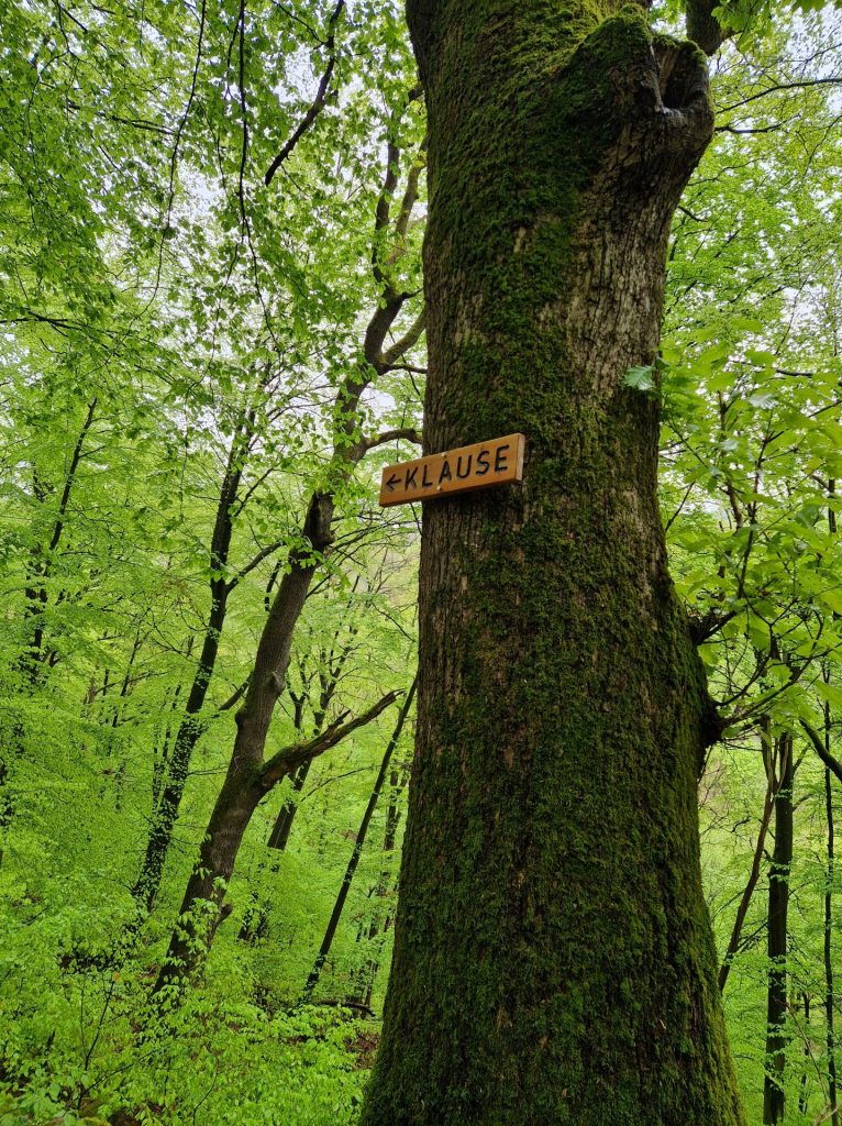 Klause 