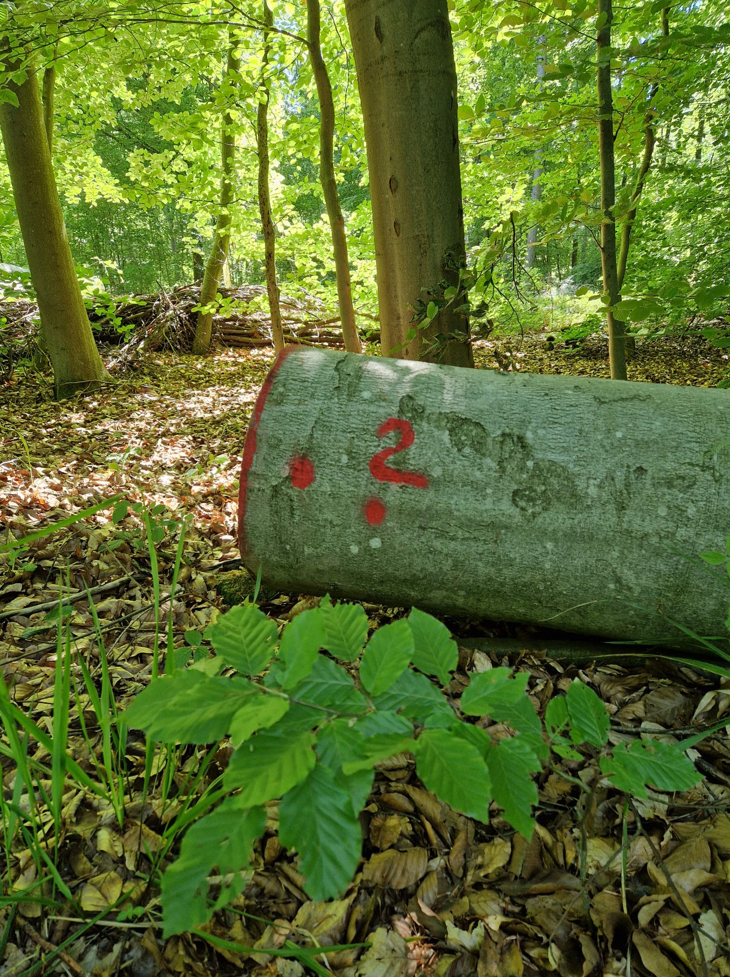 36 Fragen – Selbstannahme und Selbstanerkennung