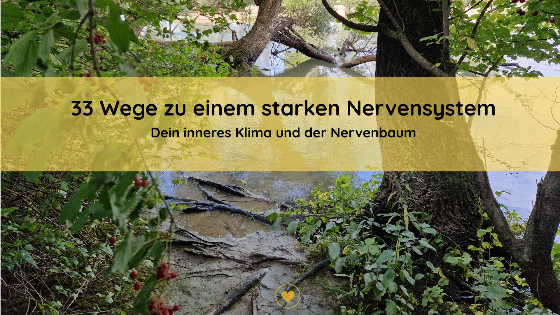 33 Wege zu einem starken Nervensystem