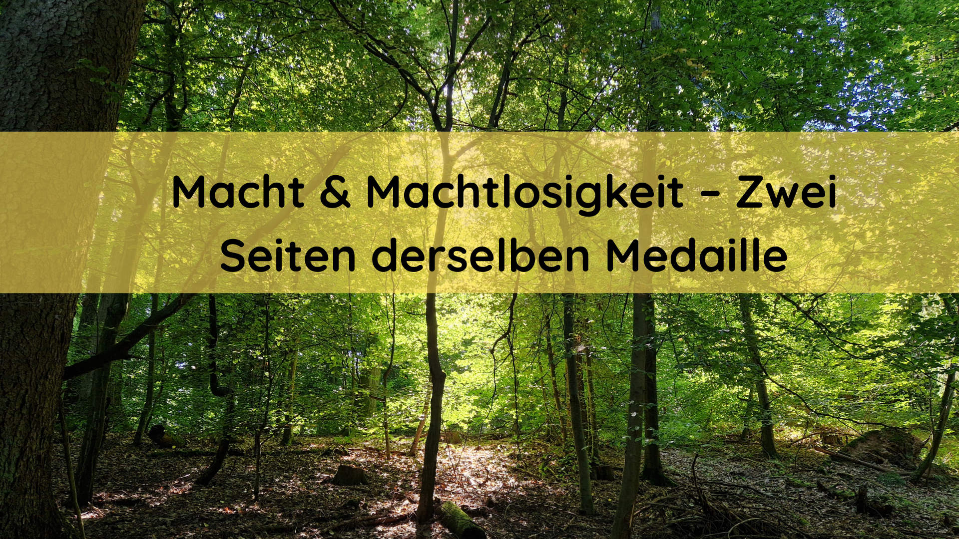 Macht & Machtlosigkeit – Zwei Seiten derselben Medaille