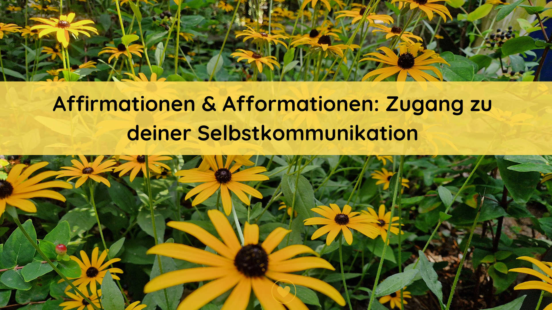 gelbe Blumen die dafür stehen neue Antworten durch Affirmationen und Afformationen zu finden.
