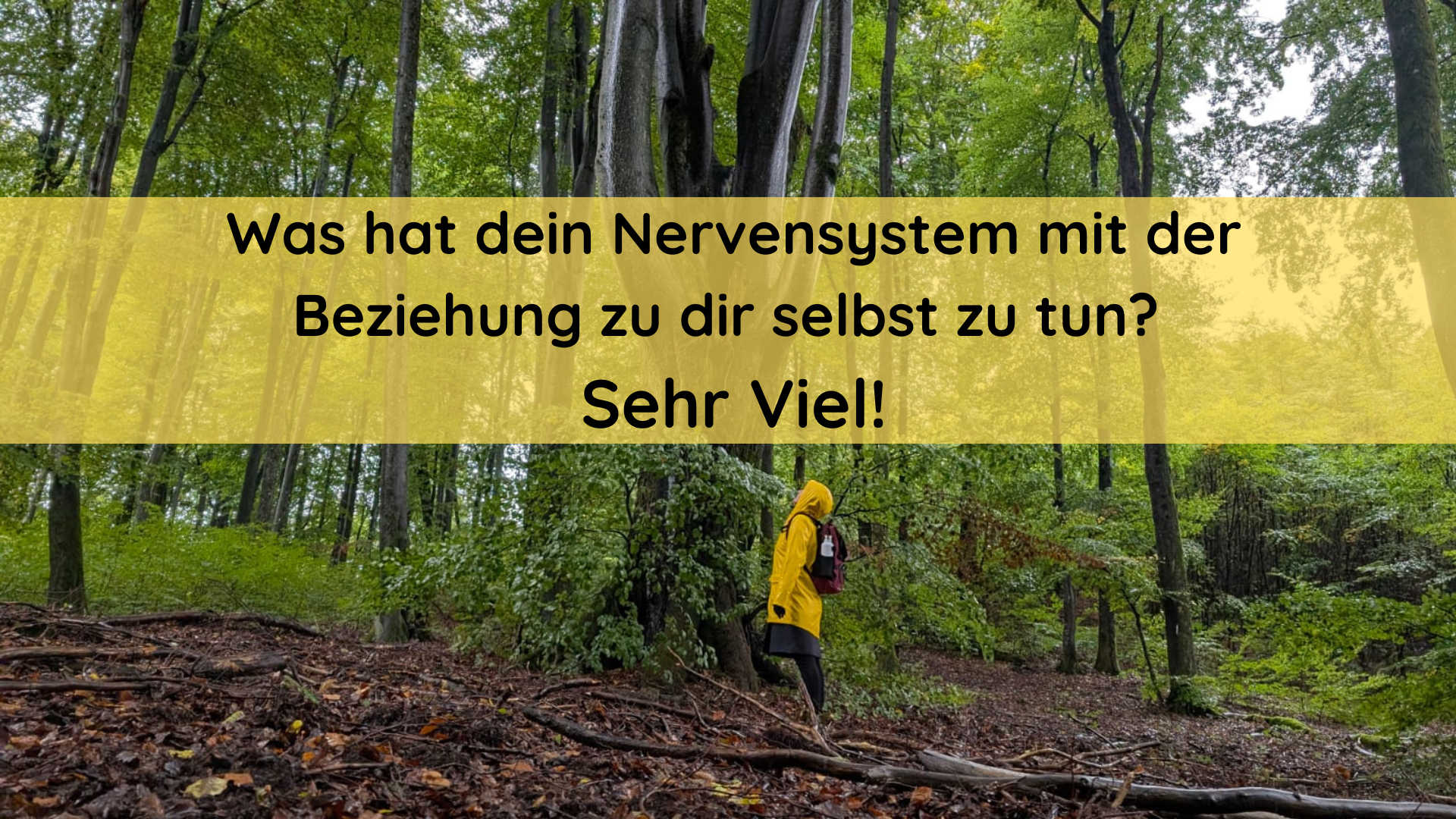 Was hat dein Nervensystem mit der Beziehung zu dir selbst zu tun
