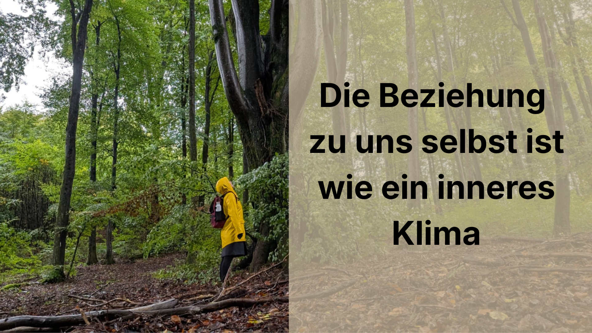 Die Beziehung zu uns selbst ist wie ein inneres Klima